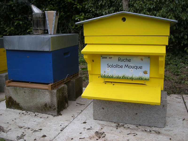 La ruche Sololbe Mouque